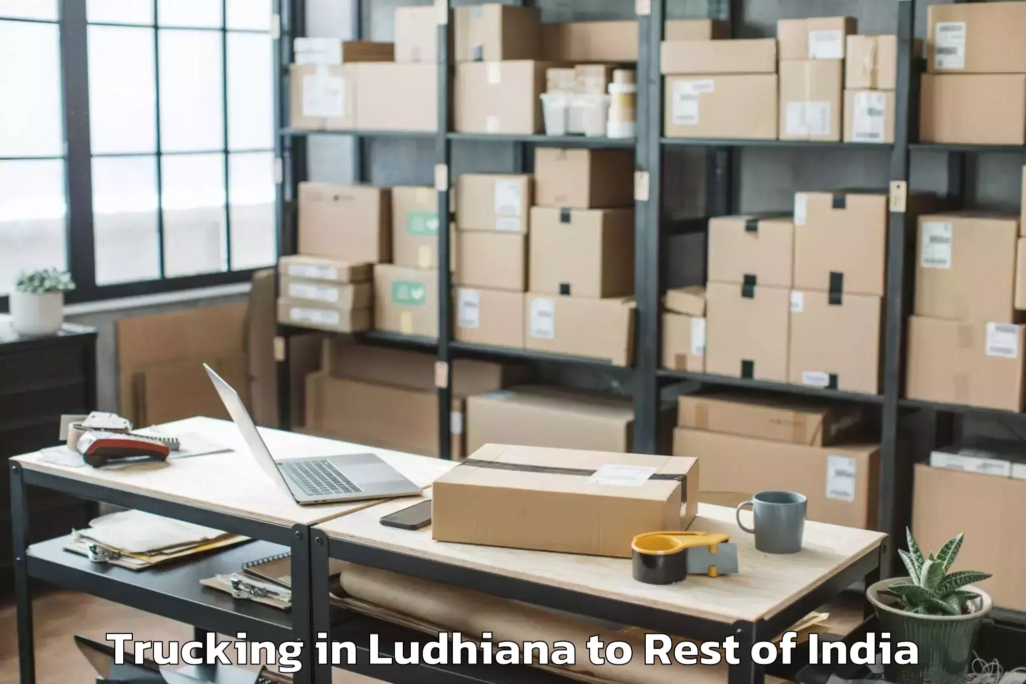 Top Ludhiana to Hunli Trucking Available